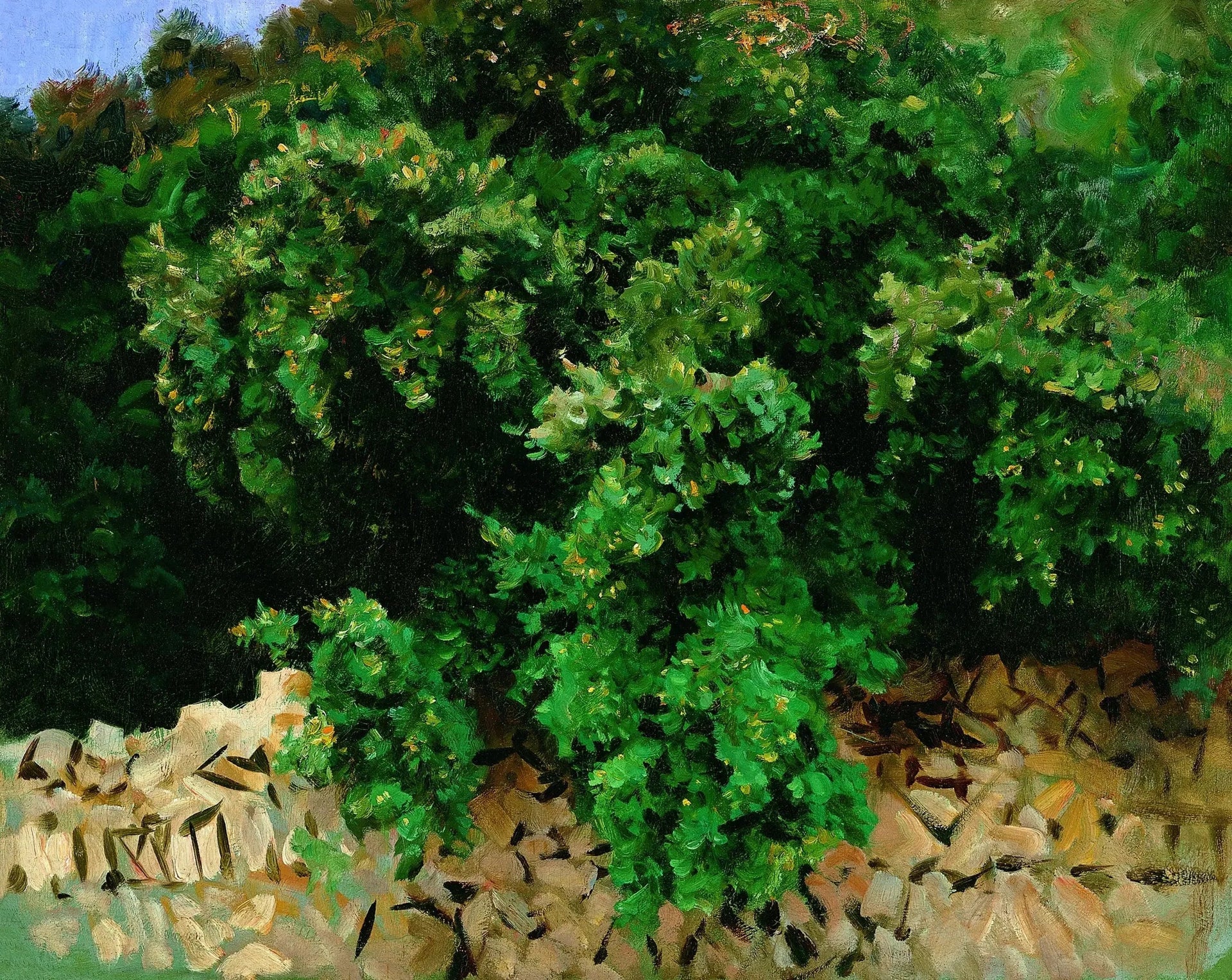 Bois d'Ilex. Majorque - John Singer Sargent image 1 reproduction artisanale de tableau