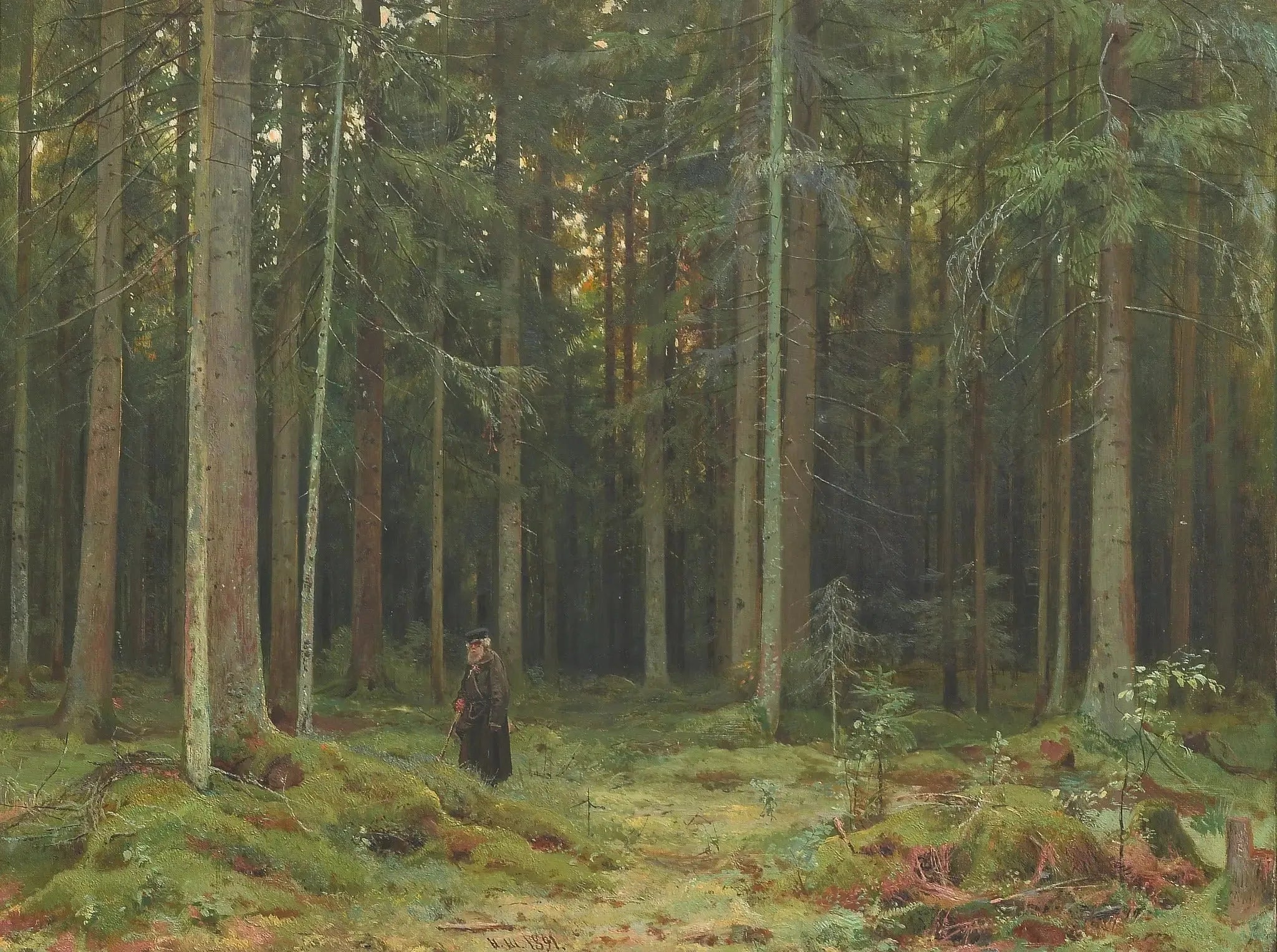 Bois de la comtesse Mordvinova. Peterhof - Ivan Chichkine image 1 reproduction de peinture à l’huile