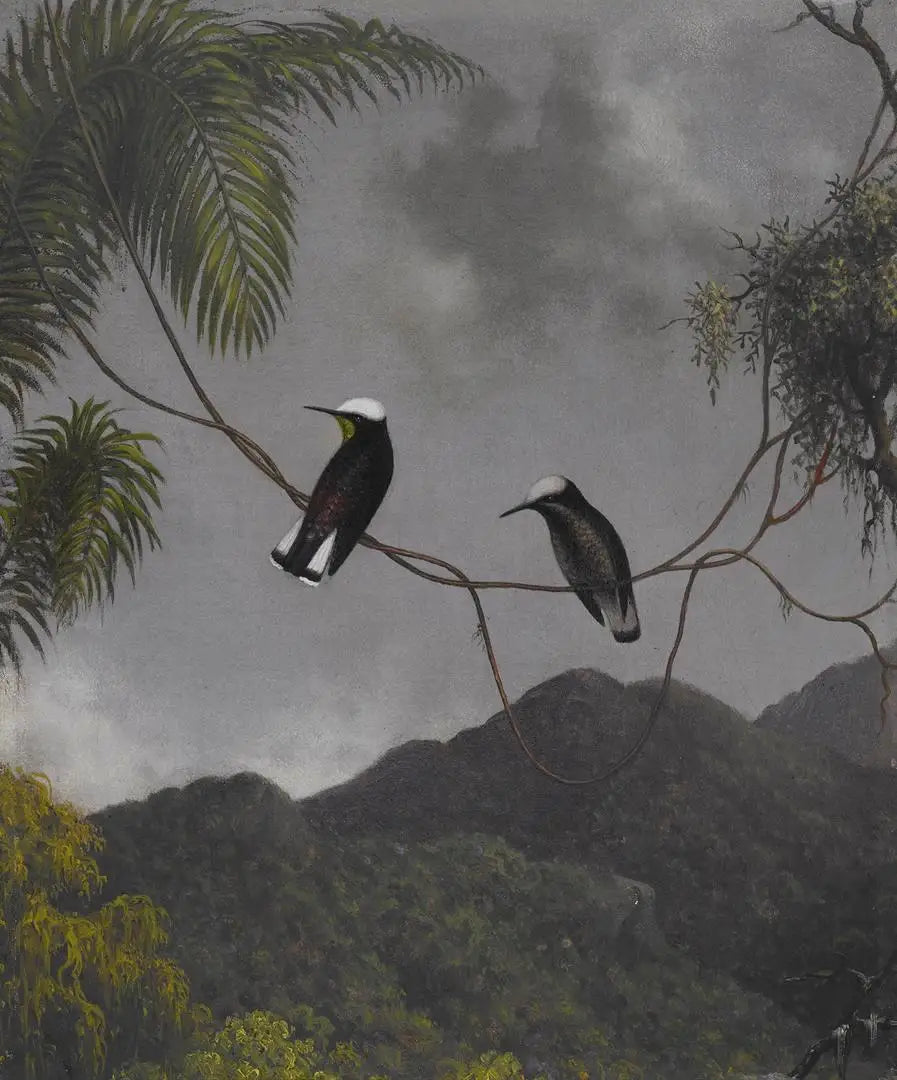 Bonnet de neige - Martin Johnson Heade