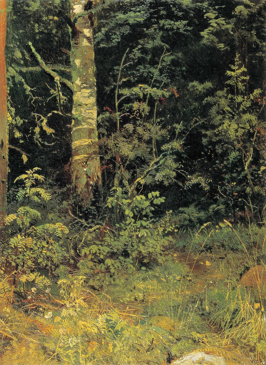 Bouleau et sorbier - Ivan Chichkine