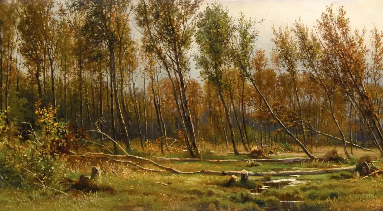 Bouleaux après la tempête - Ivan Chichkine image 1 reproduction artisanale de tableau