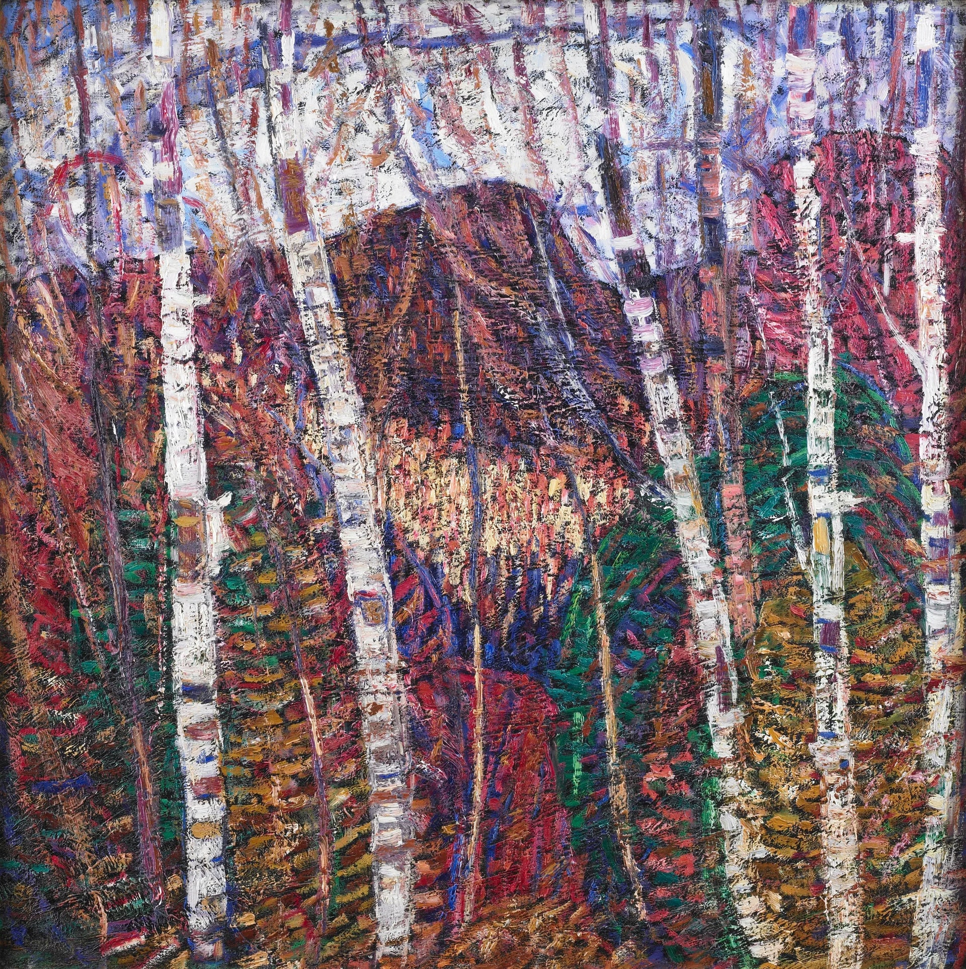 Bouleaux blancs - Marsden Hartley image 1 reproduction d’œuvre d’art à l’huile