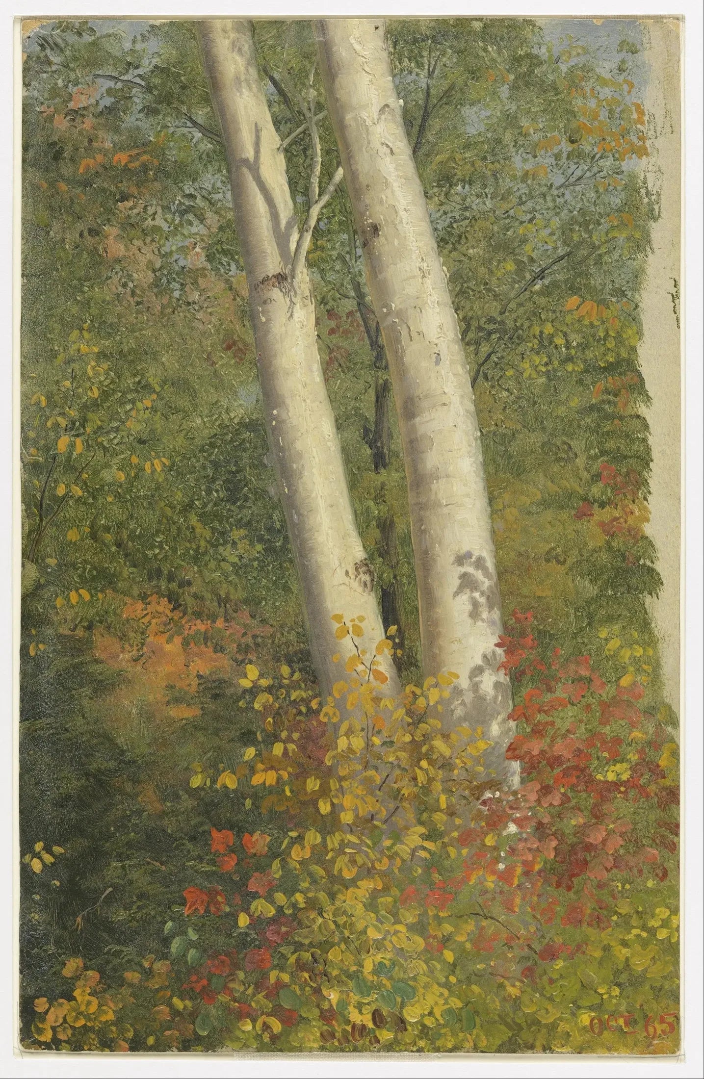 Bouleaux en automne - Frederic Edwin Church image 1 copie de tableau peinte à la main