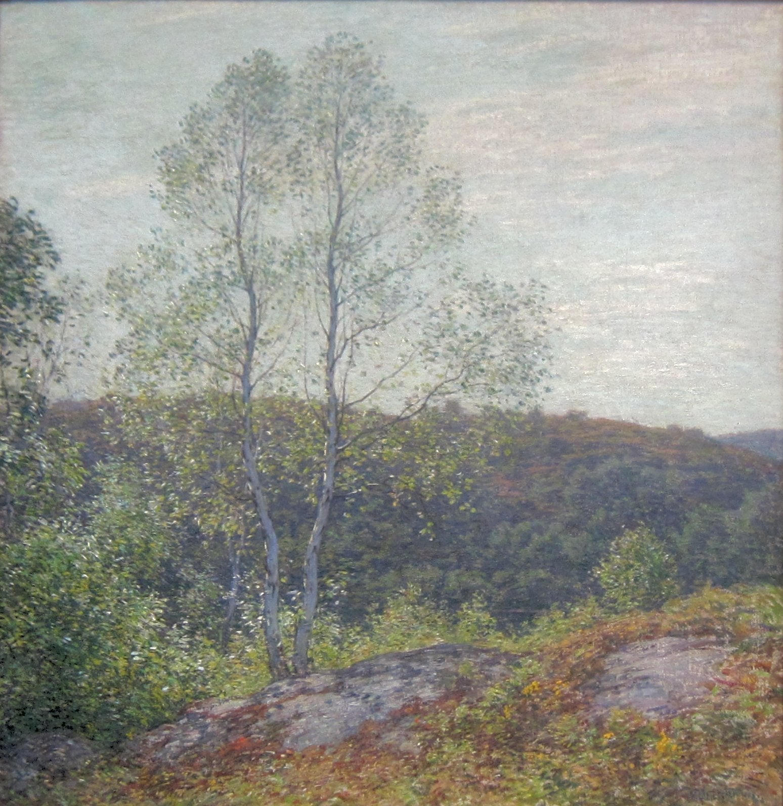 Bouleaux jumeaux - Willard Metcalf image 1 reproduction de peinture à l’huile