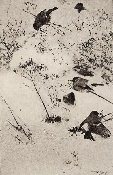 Bouvreuils dans la neige - Bruno Liljefors image 1 tableau peint à l’huile sur toile