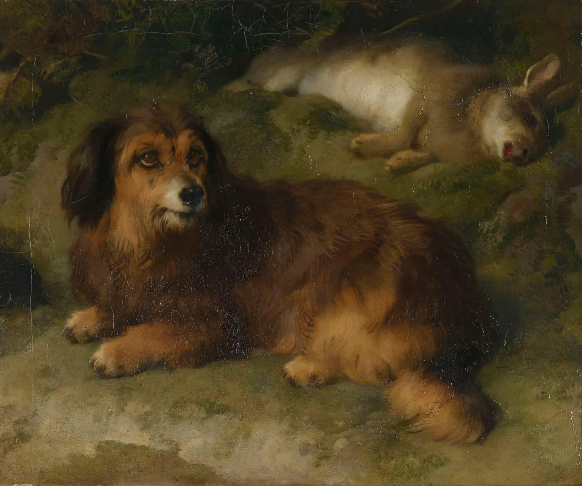Boz - Edwin Henry Landseer image 1 reproduction de peinture à l’huile