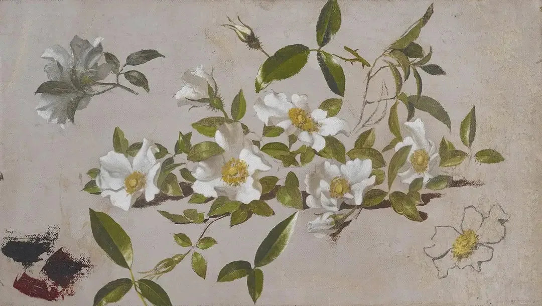 Branches de roses Cherokee - Martin Johnson Heade image 1 tableau peint à l’huile sur toile