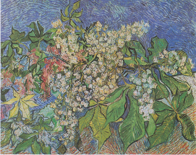 Гілки квітучого каштана - Vincent van Gogh