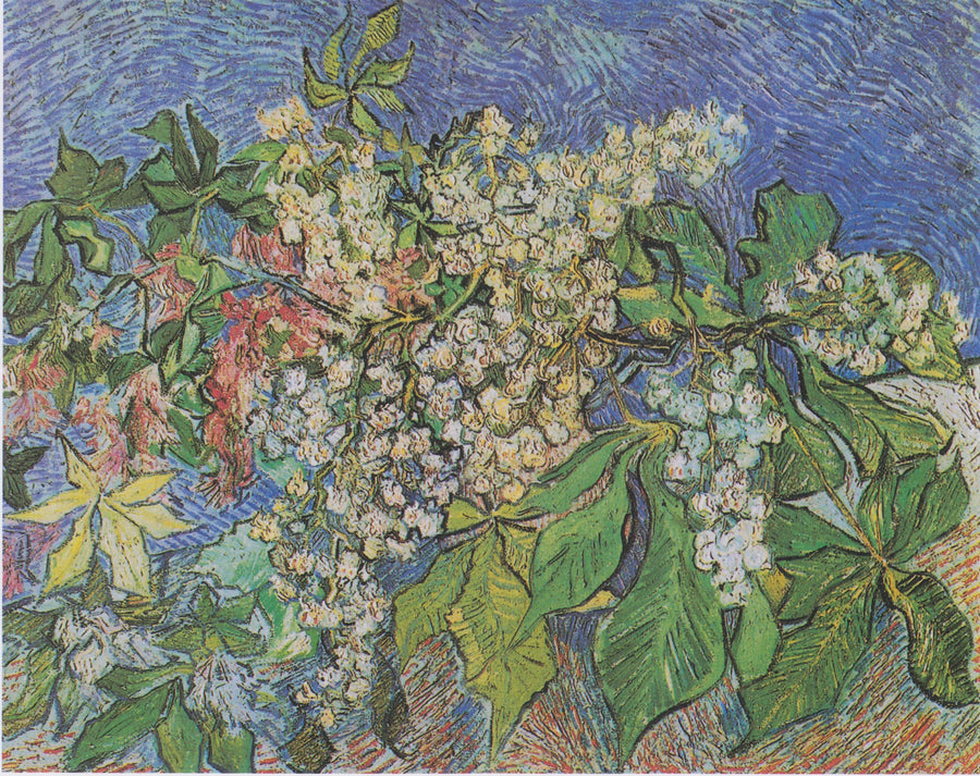 Гілки квітучого каштана - Vincent van Gogh