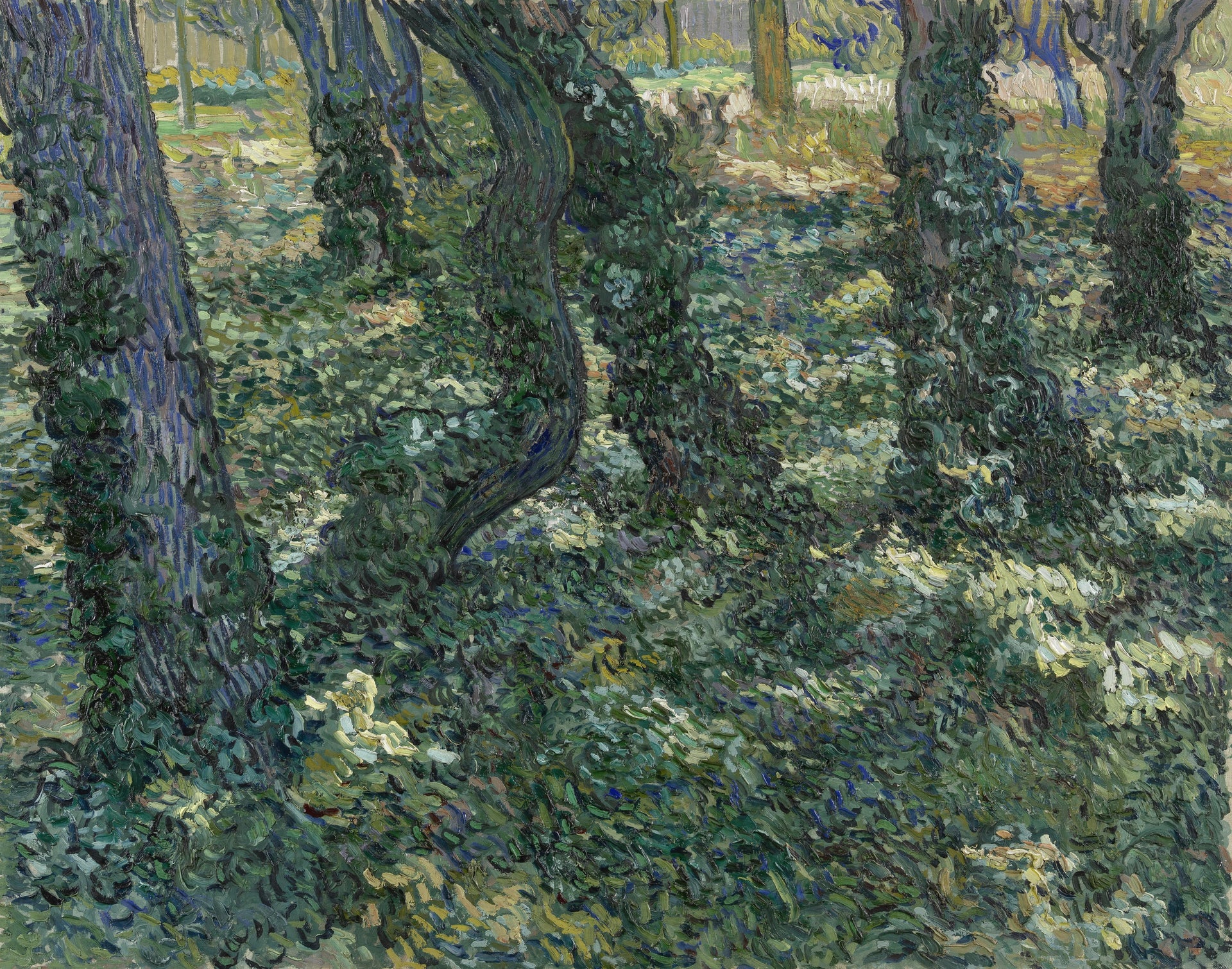 Broussailles F746 de Vincent van Gogh, Van Gogh Museum