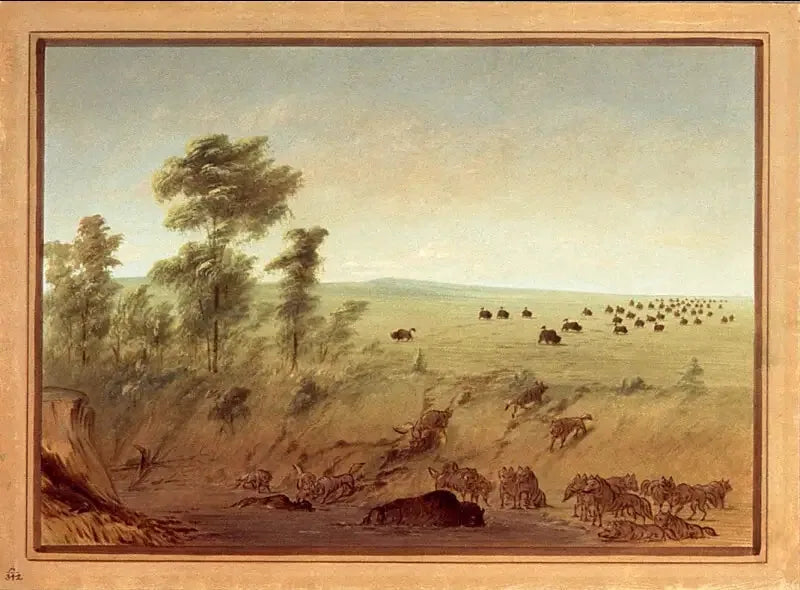 Buffles et loups embourbés - George Catlin image 1 reproduction de peinture à l’huile