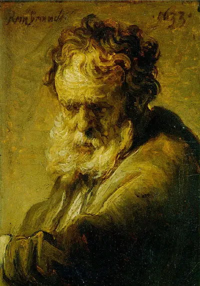 Buste d'un vieil homme barbu - Rembrandt
