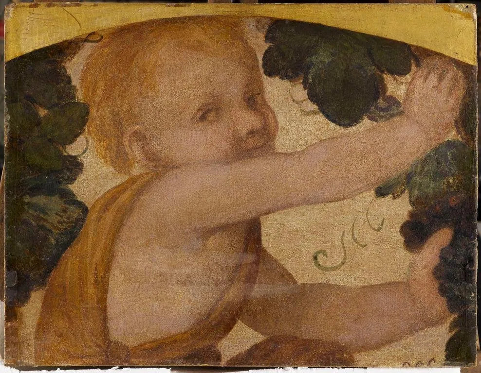 Buste de putto dans les pampres - Bernardino Luini image 1 reproduction réalisée par Alpha Reproduction