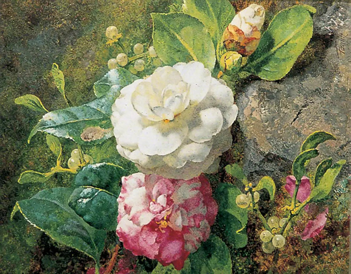 Camélias - Henri Fantin-Latour image 1 copie peinte à la main à l’huile