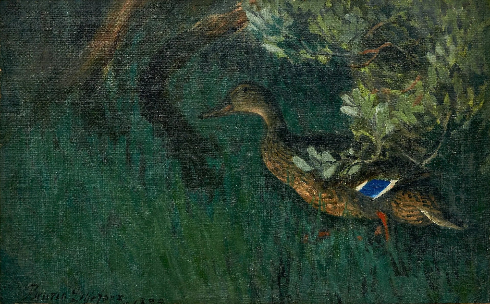 Canard colvert dans la verdure - Bruno Liljefors image 1 tableau peint à l’huile sur toile