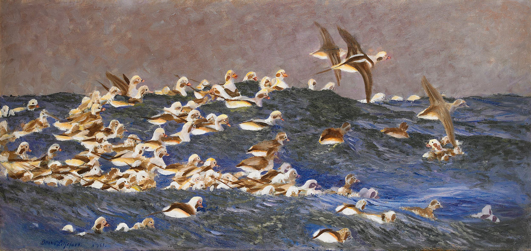 Canards à longue queue dans l'archipel extérieur - Bruno Liljefors image 1 copie de tableau peinte à la main