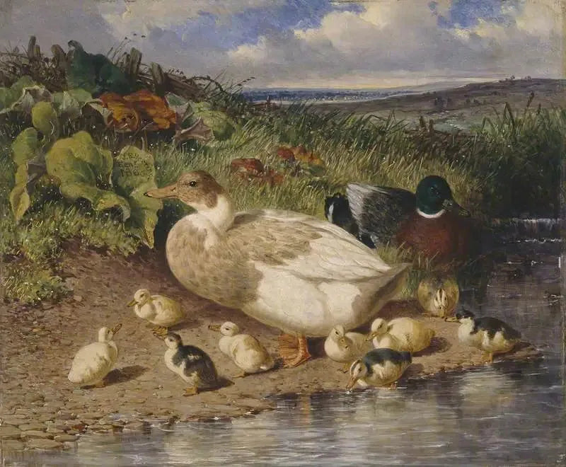 Canards au bord d'un ruisseau - John Frederick Herring, Sr. image 1 reproduction de peinture à l’huile