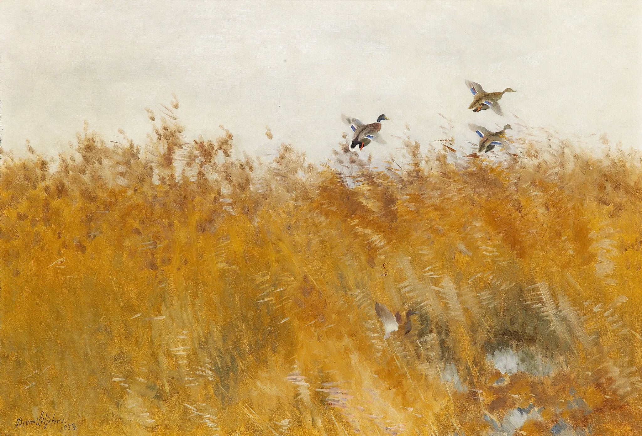 Canards colverts décollant - Bruno Liljefors image 1 copie peinte à la main à l’huile