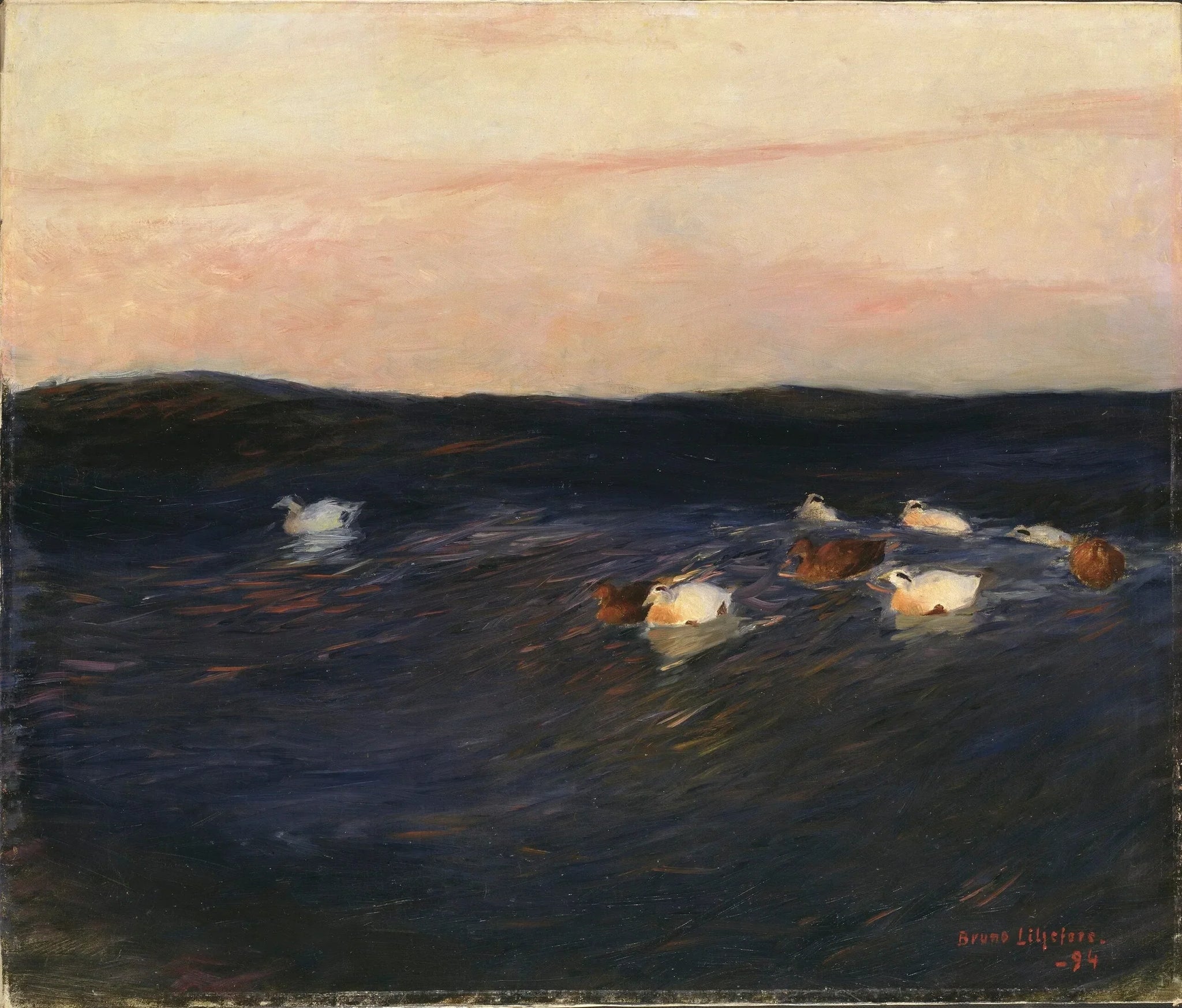 Canards eider - Bruno Liljefors image 1 tableau peint à l’huile sur toile