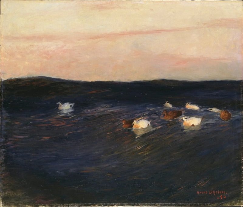 Canards eider - Bruno Liljefors