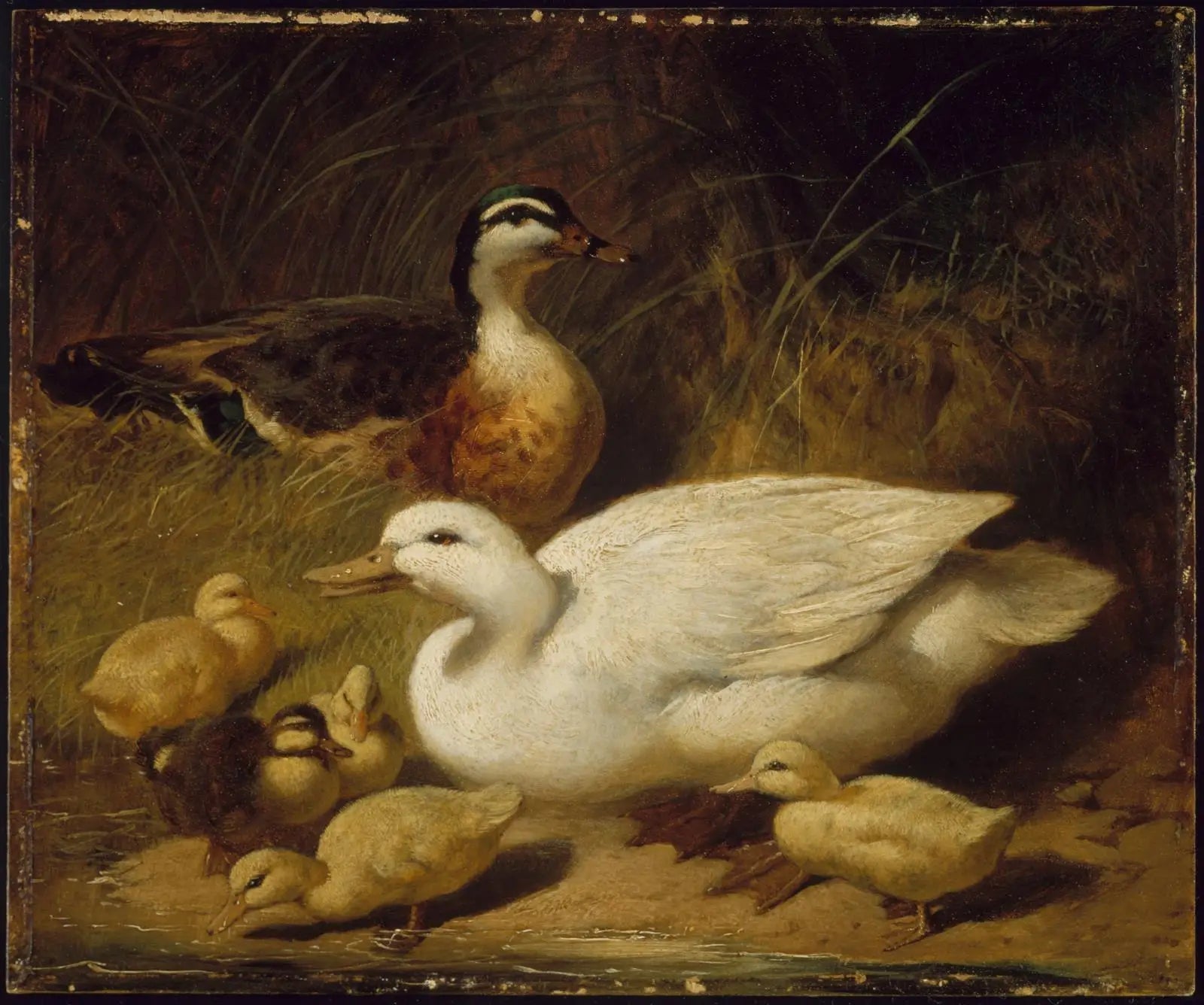 Canards et canetons - John Frederick Herring, Sr. image 1 copie peinte à la main à l’huile
