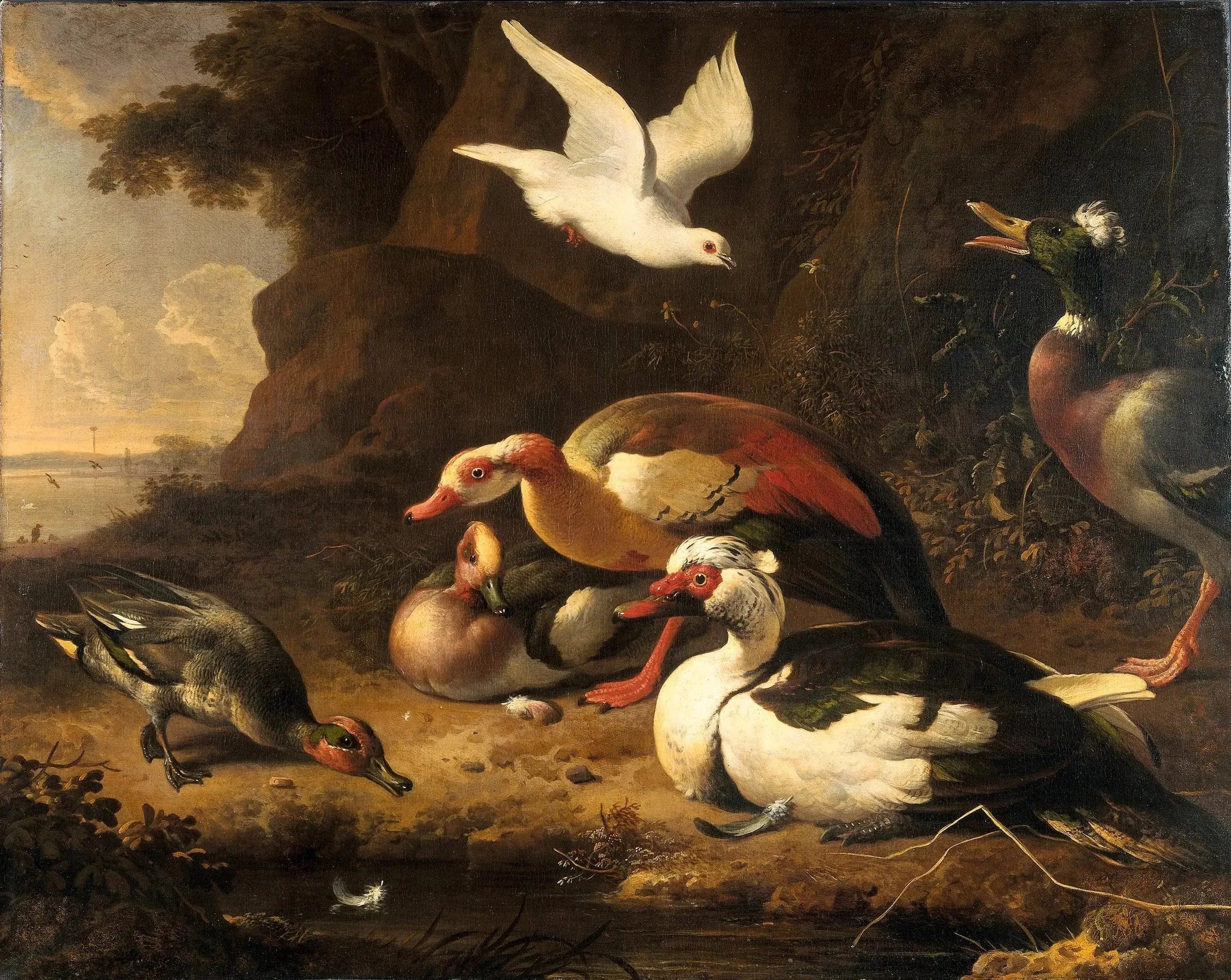 Canards - Melchior de Hondecoeter image 1 copie de tableau peinte à la main