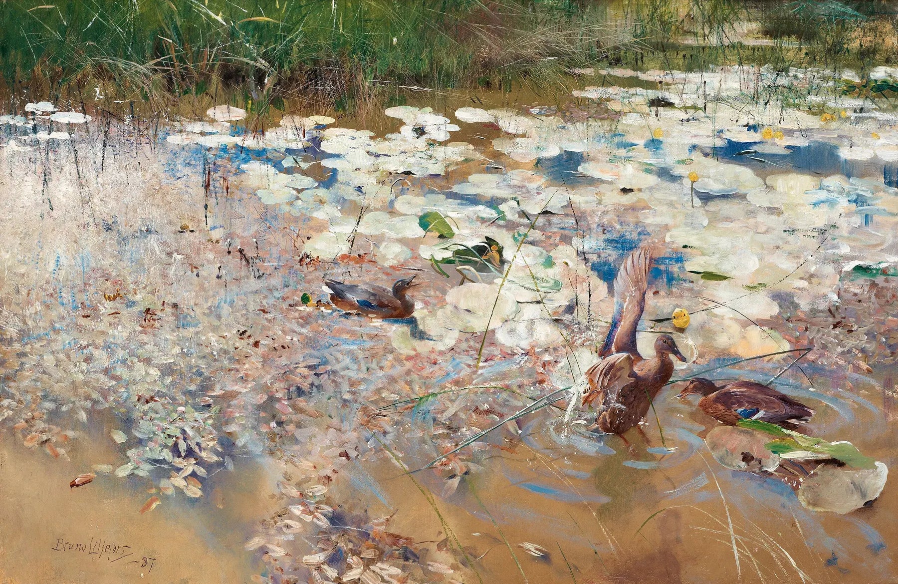 canards sauvages - Bruno Liljefors image 1 reproduction artisanale de tableau