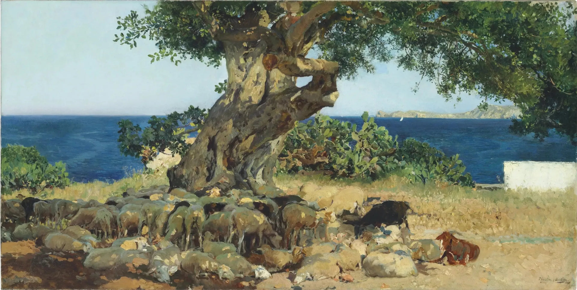 Caroubier - Joaquín Sorolla image 1 copie de tableau peinte à la main