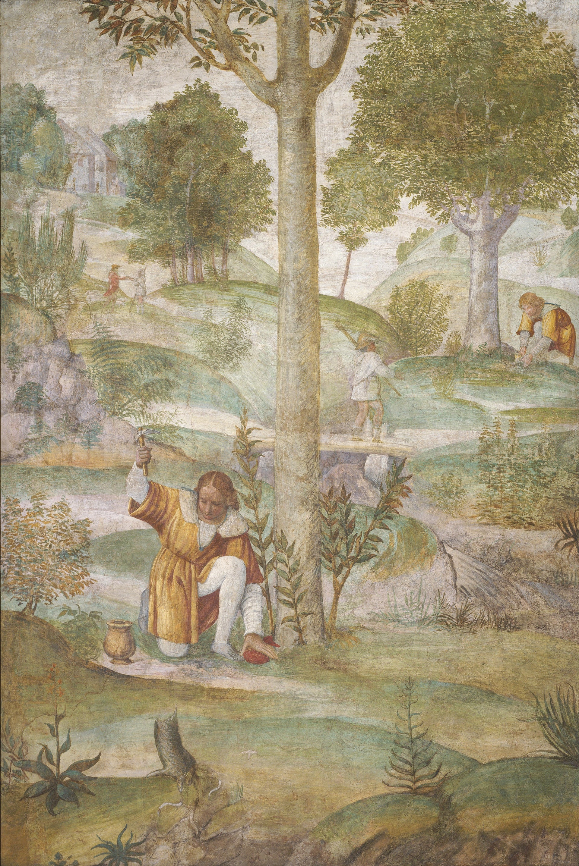 Céphale cachant les joyaux - Bernardino Luini image 1 reproduction de peinture à l’huile