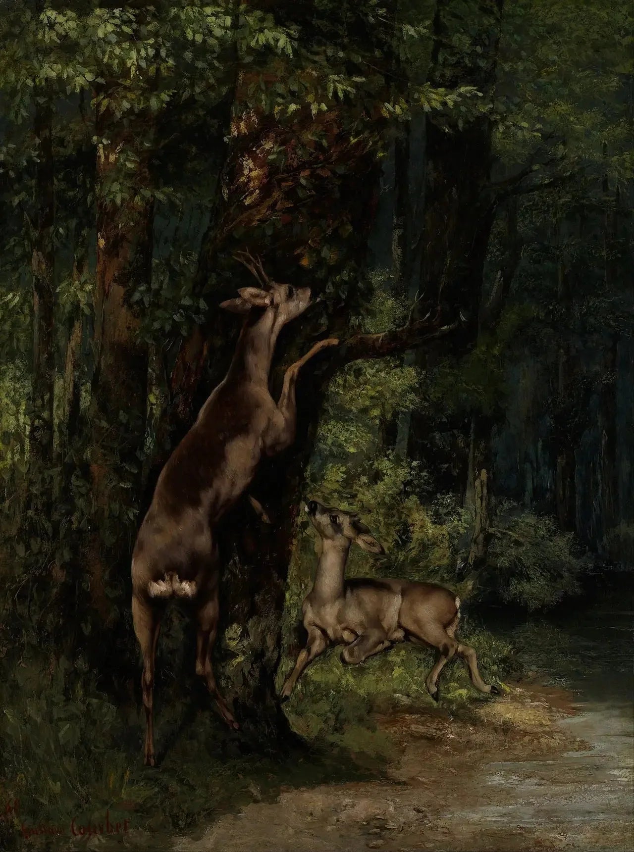 Cerf dans la forêt - Gustave Courbet image 1 reproduction de peinture à l’huile
