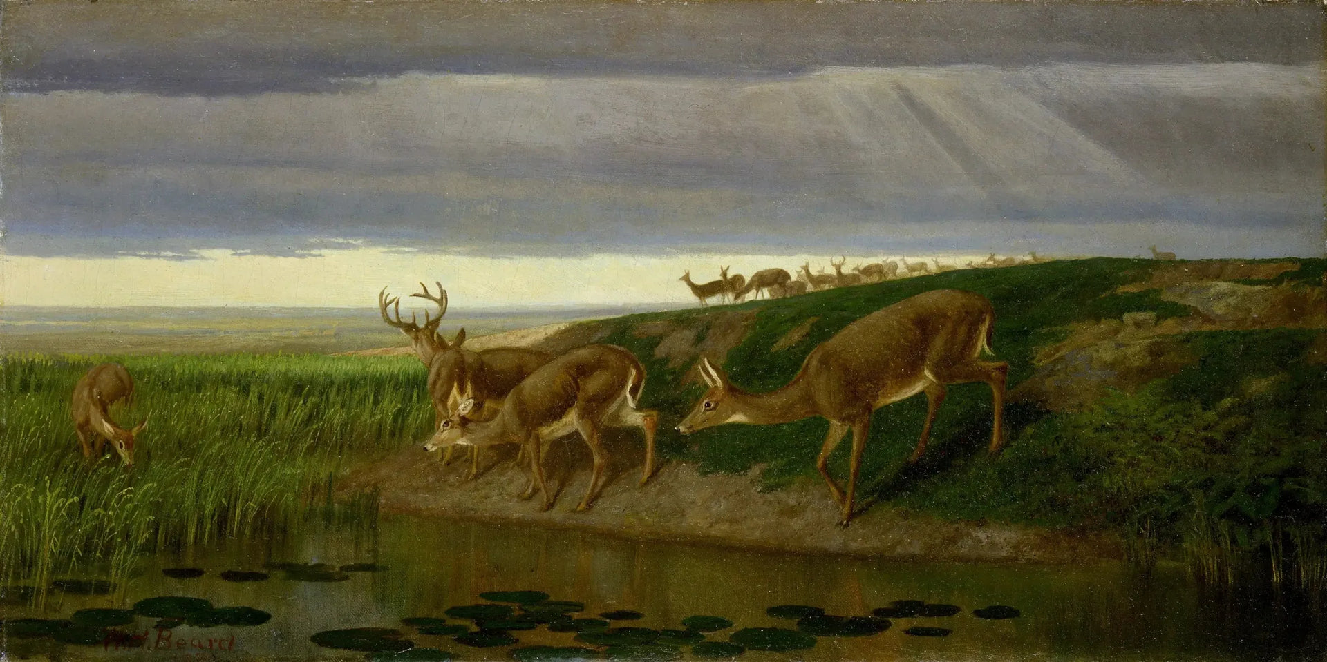 Cerf dans la prairie - William Holbrook image 1 tableau peint à l’huile sur toile