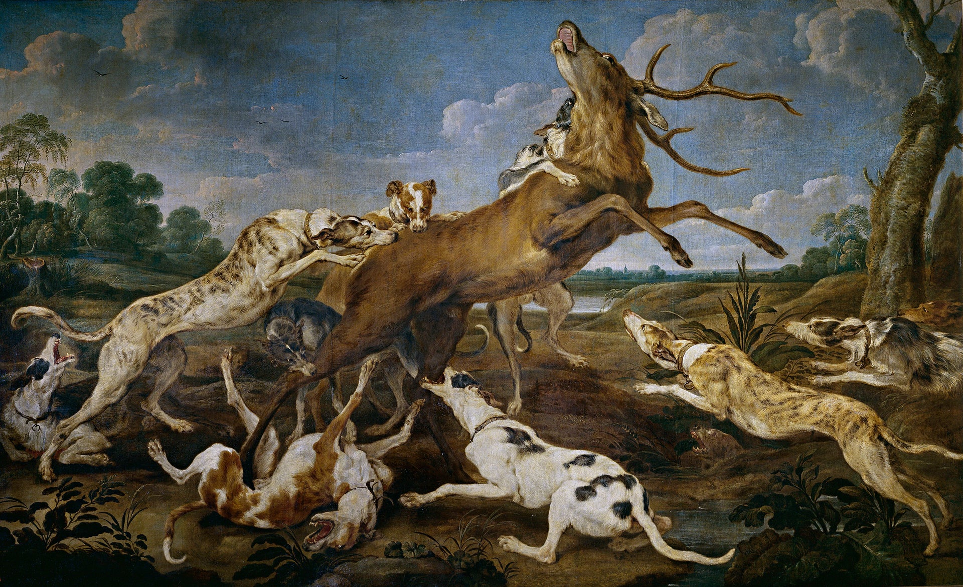 Cerf harcelé par une meute de chiens - Paul de Vos