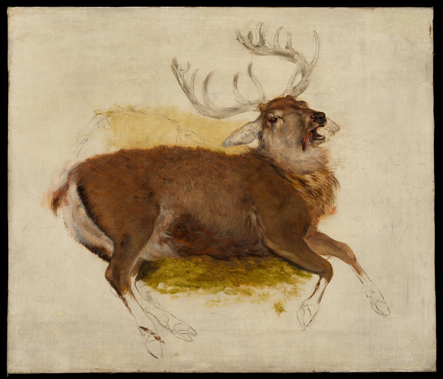 Cerf mourant - Sir Edwin Henry Landseer