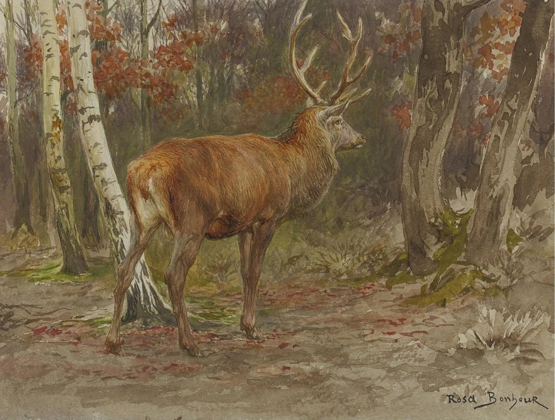 Cerf vigilant - Rosa Bonheur image 1 reproduction de peinture à l’huile