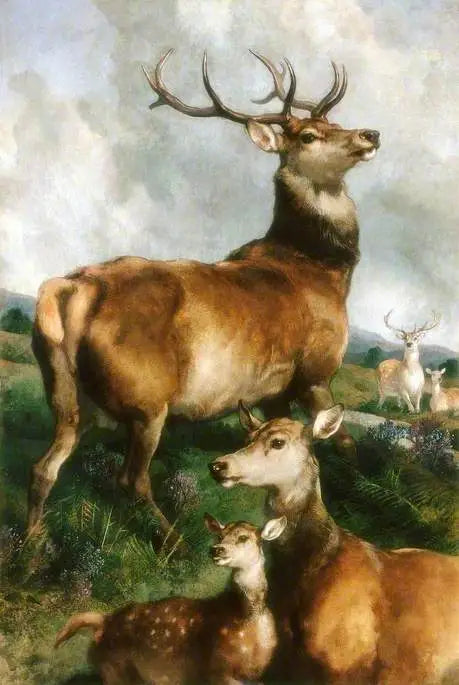Cerfs du parc de Chillingham, Northumberland - Edwin Henry Landseer image 1 reproduction artisanale de tableau