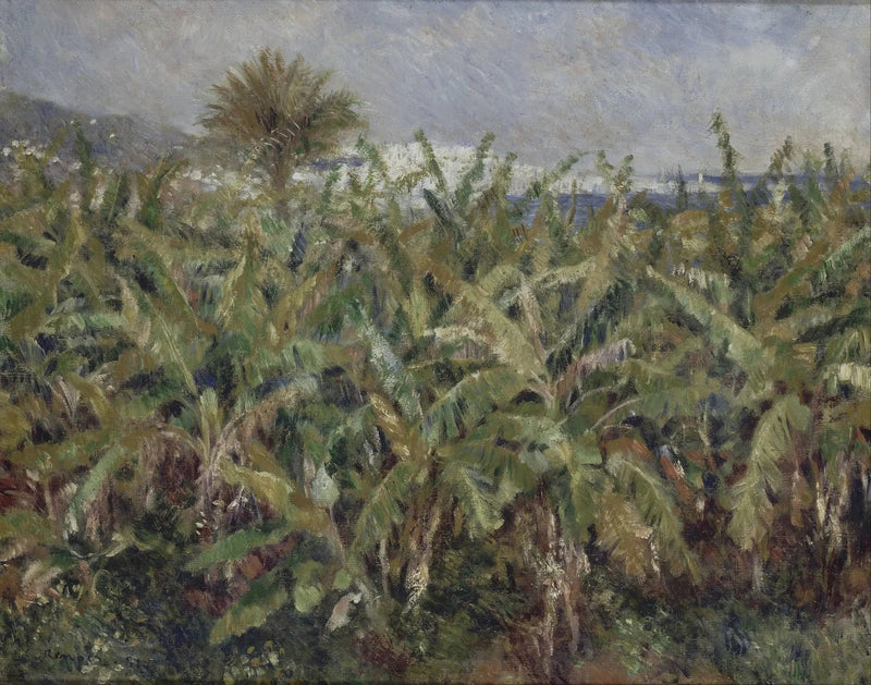 champ de bananes - Pierre-Auguste Renoir