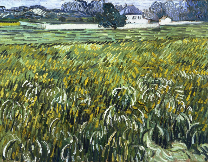 Champ de blé à Auvers avec maison - Vincent van Gogh