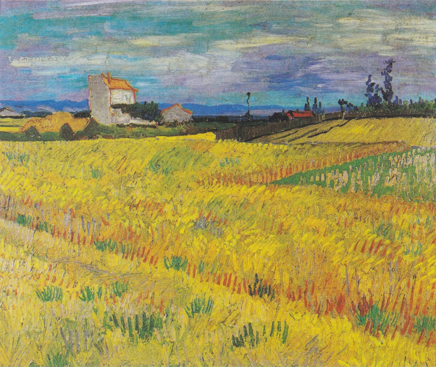 Champ de blé - Vincent van Gogh
