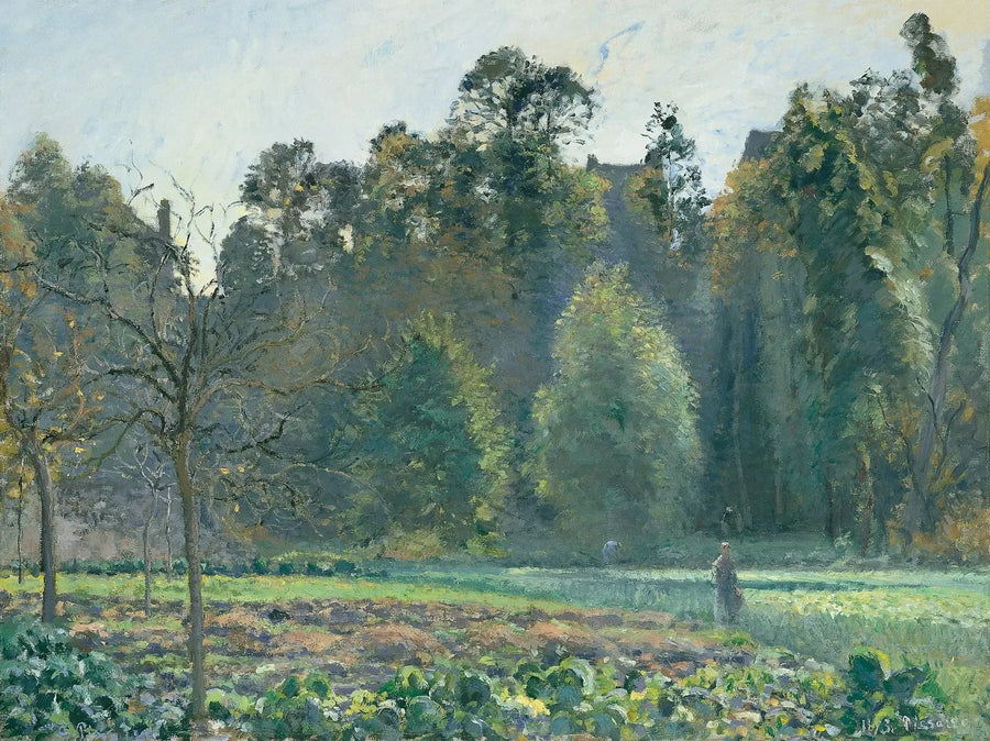 Champ de choux, Pontoise - Camille Pissarro