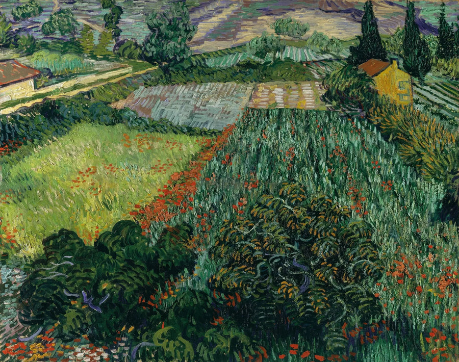 Champ de coquelicots - Vincent van Gogh
