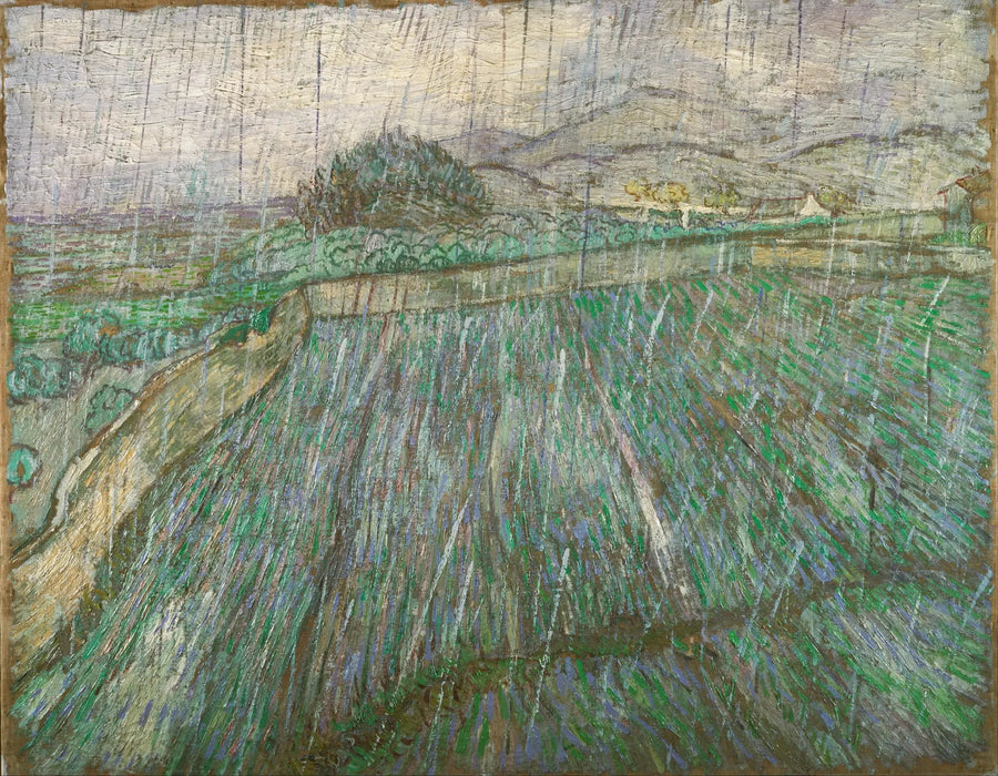 Champ mouillé sous la pluie - Vincent van Gogh