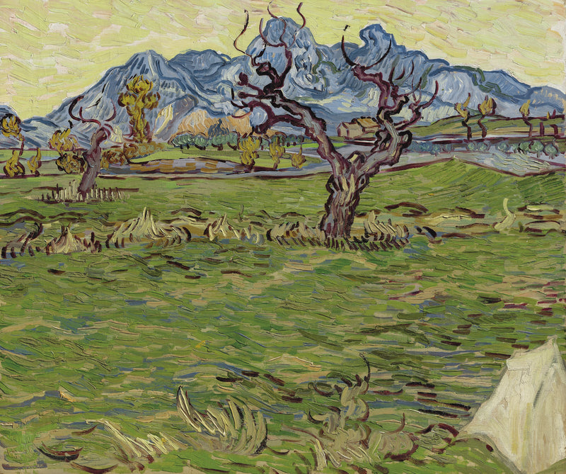 Champs près des Alpilles – Vincent van Gogh