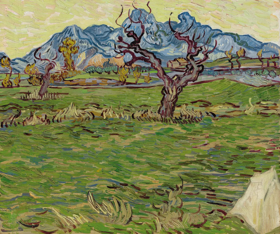 Champs près des Alpilles - Vincent van Gogh