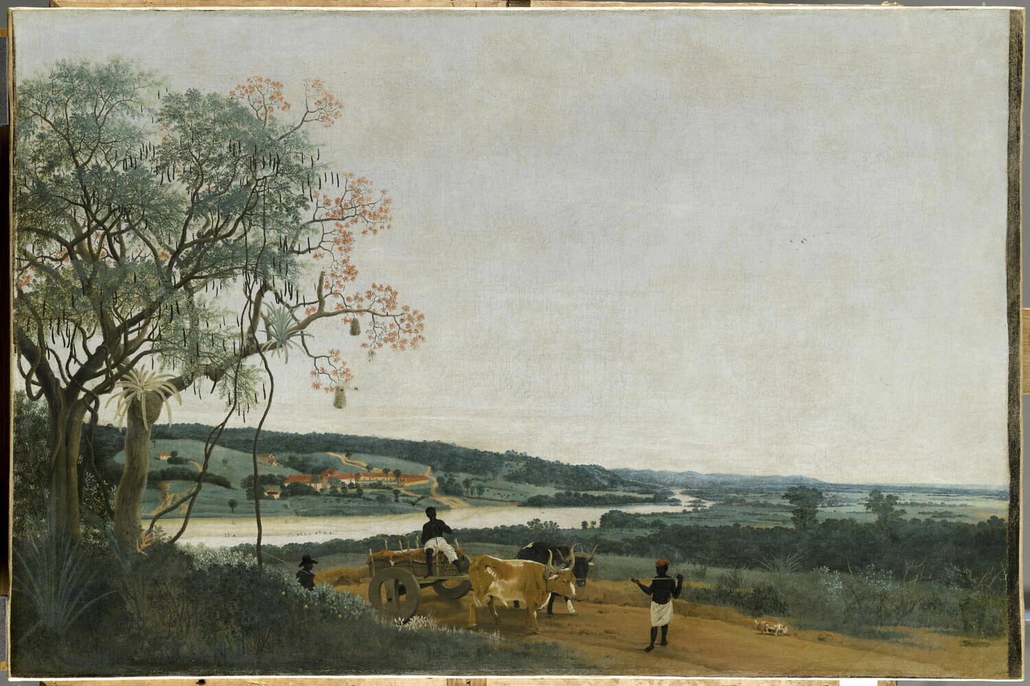 Le Char à boeufs. Paysage brésilien - Frans Post