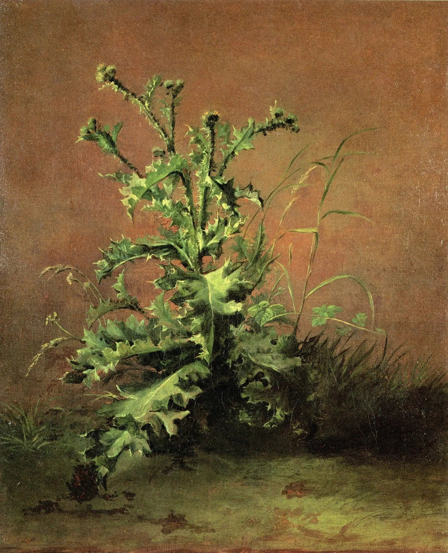 Chardons - Édouard Manet