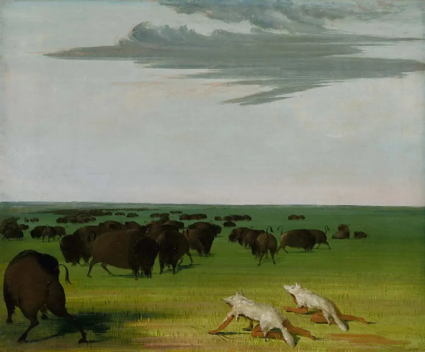 Chasse au bison sous le masque de peau de loup - George Catlin image 1 tableau peint à l’huile sur toile