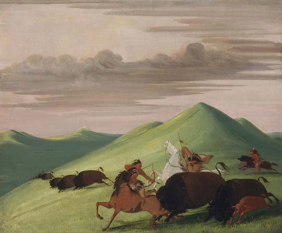 Chasse au bison, taureau protégeant une vache et son veau - George Catlin