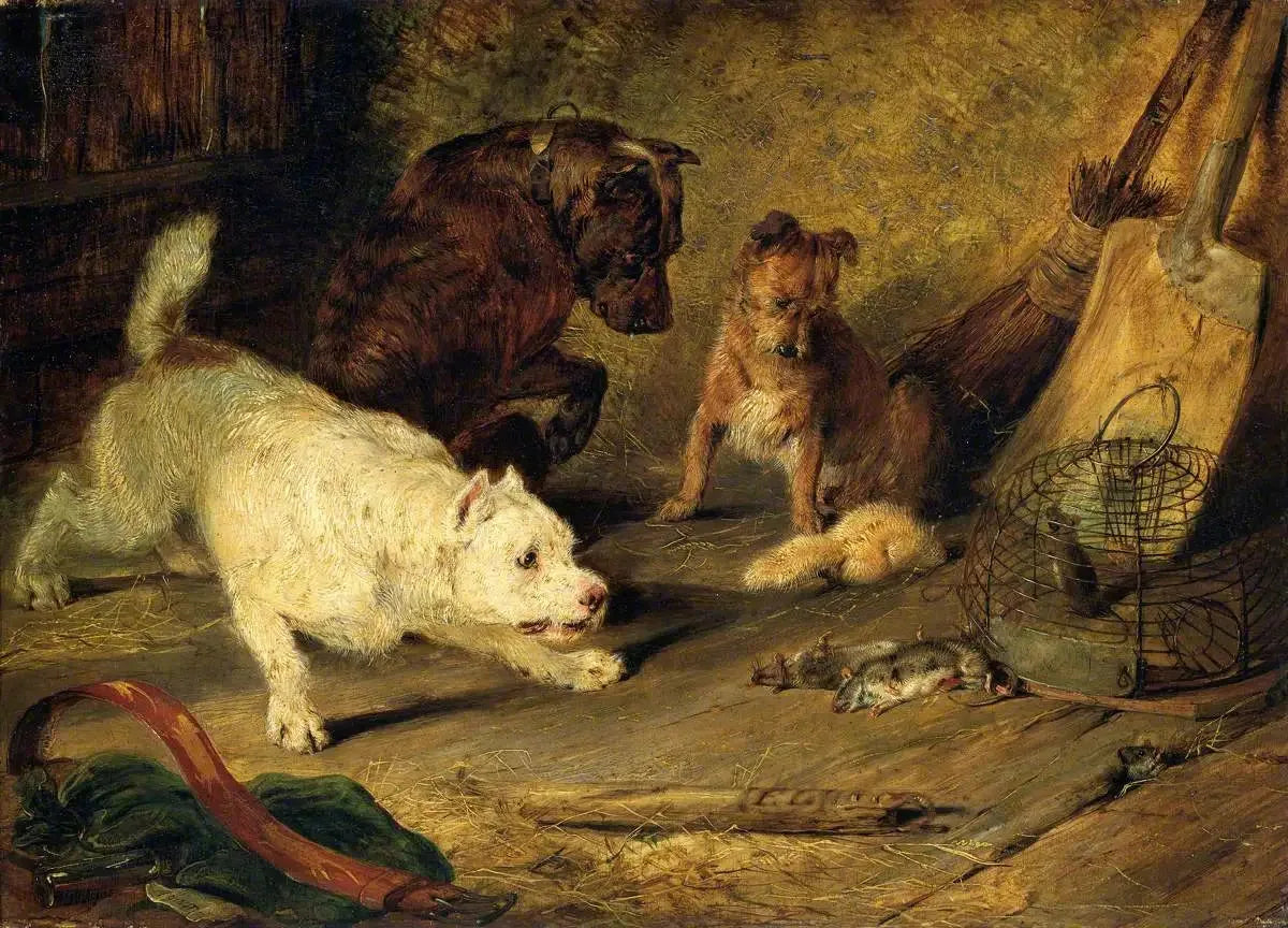 Chasseurs de rats - Edwin Henry Landseer image 1 reproduction de peinture à l’huile
