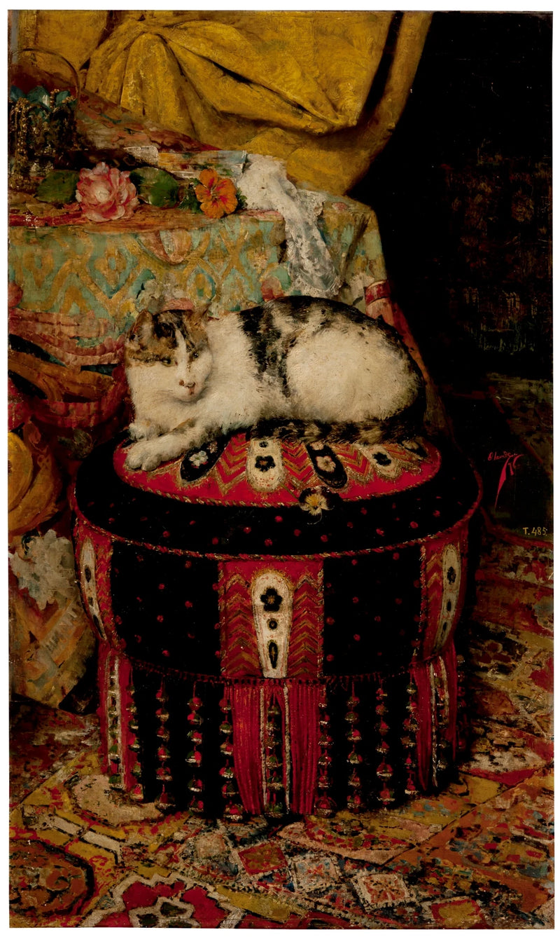Un chat allongé sur un oreiller - Genaro Rodríguez Olavide