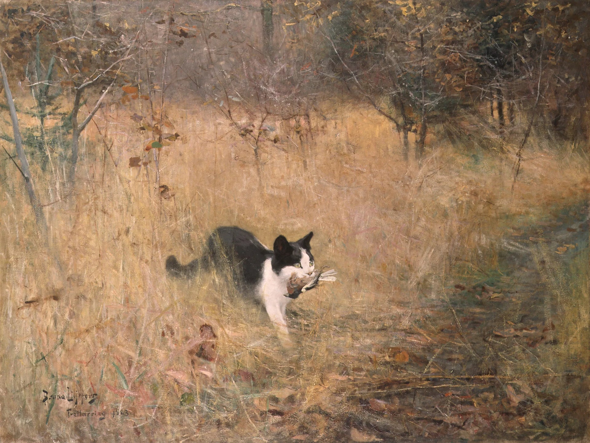Chat chassant les oiseaux - Bruno Liljefors image 1 tableau peint à l’huile sur toile